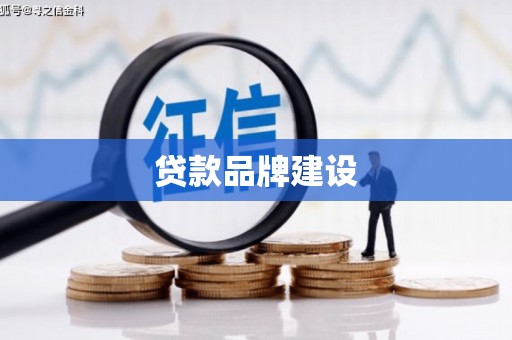安化贷款品牌建设
