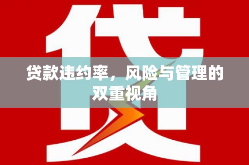 安化贷款违约率，风险与管理的双重视角