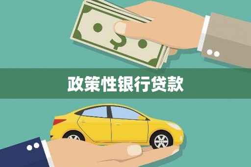 安化政策性银行贷款
