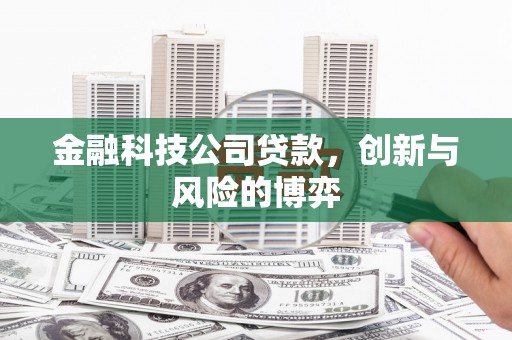 安化金融科技公司贷款，创新与风险的博弈