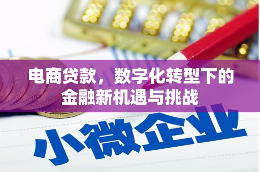 安化电商贷款，数字化转型下的金融新机遇与挑战