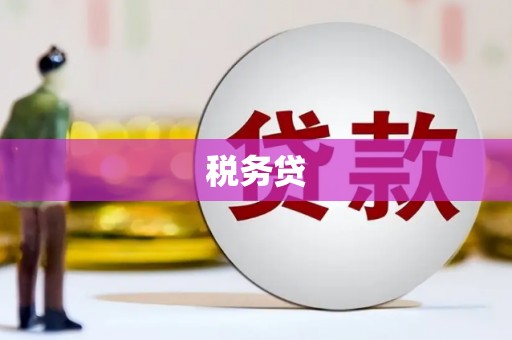 安化税务贷