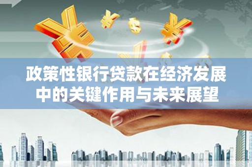 安化政策性银行贷款在经济发展中的关键作用与未来展望