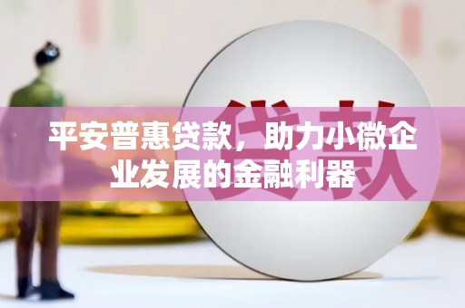 安化平安普惠贷款，助力小微企业发展的金融利器