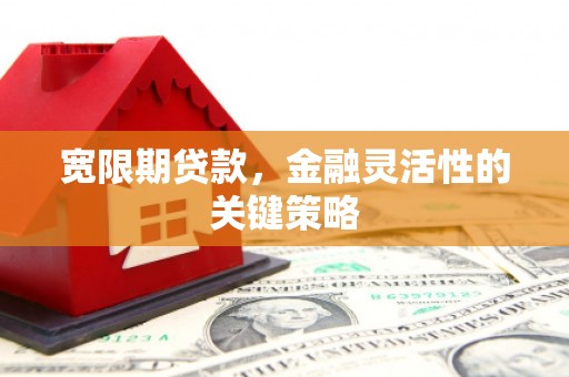安化宽限期贷款，金融灵活性的关键策略