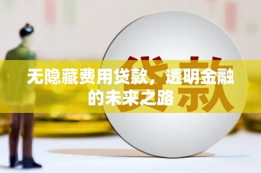 安化无隐藏费用贷款，透明金融的未来之路