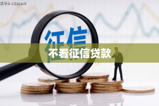 安化不看征信贷款