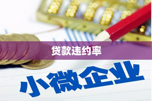 安化贷款违约率