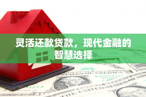安化灵活还款贷款，现代金融的智慧选择