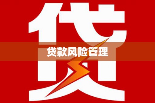 安化贷款风险管理