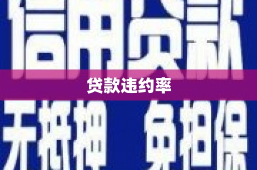 安化贷款违约率