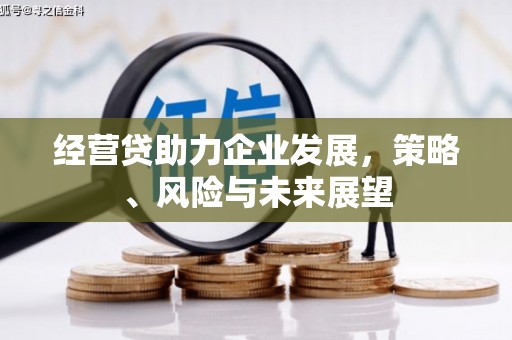 安化经营贷助力企业发展，策略、风险与未来展望