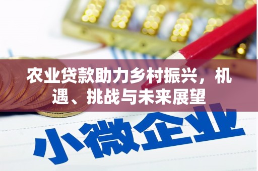 安化农业贷款助力乡村振兴，机遇、挑战与未来展望