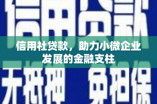 安化信用社贷款，助力小微企业发展的金融支柱