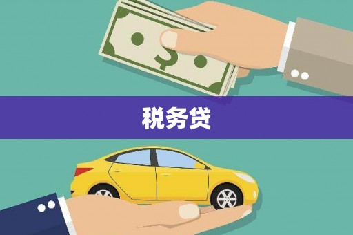 安化税务贷