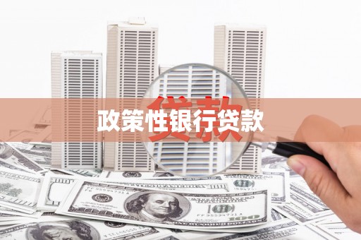 安化政策性银行贷款