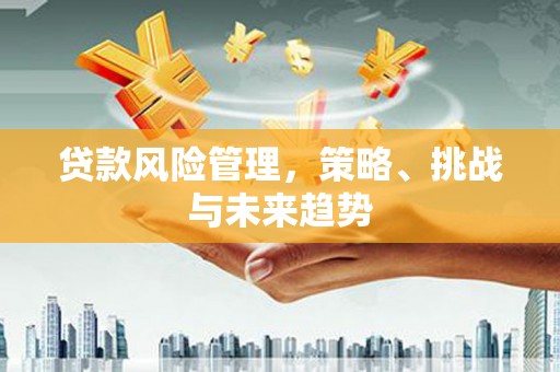 安化贷款风险管理，策略、挑战与未来趋势