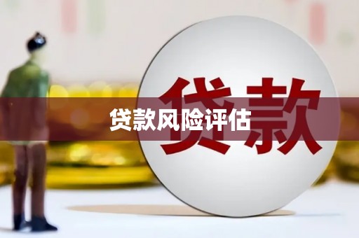安化贷款风险评估
