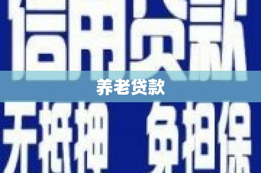 安化养老贷款