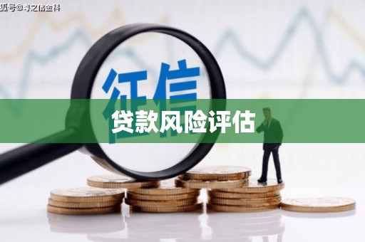 安化贷款风险评估