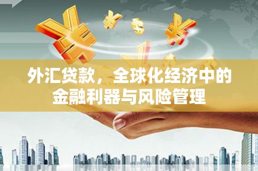 安化外汇贷款，全球化经济中的金融利器与风险管理