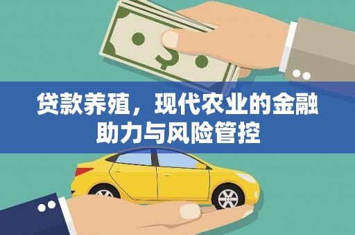安化贷款养殖，现代农业的金融助力与风险管控