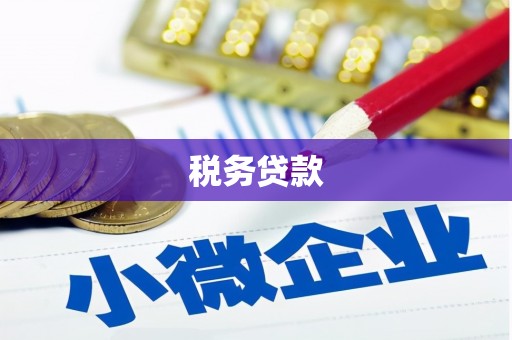 安化税务贷款