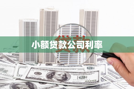 安化小额贷款公司利率