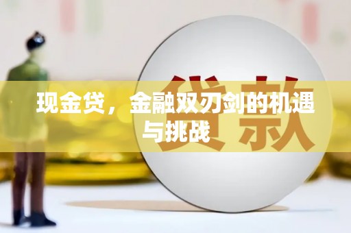 安化现金贷，金融双刃剑的机遇与挑战