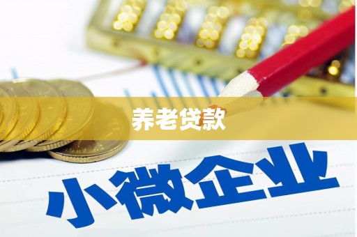 安化养老贷款