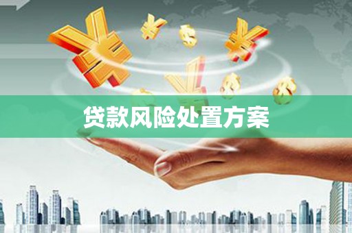 安化贷款风险处置方案