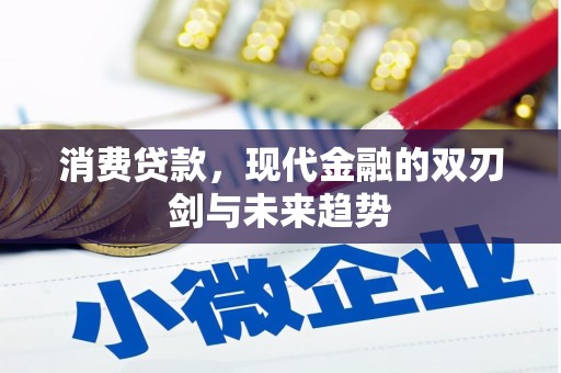 安化消费贷款，现代金融的双刃剑与未来趋势