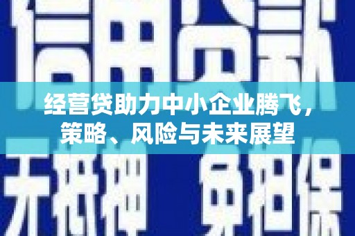 安化经营贷助力中小企业腾飞，策略、风险与未来展望