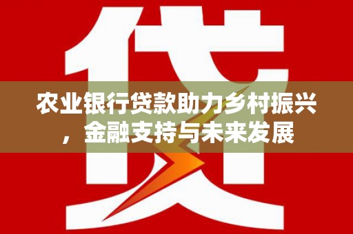 安化农业银行贷款助力乡村振兴，金融支持与未来发展