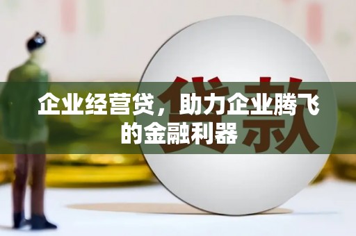 安化企业经营贷，助力企业腾飞的金融利器