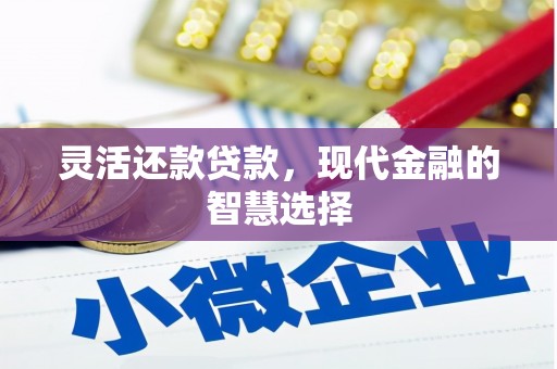 安化灵活还款贷款，现代金融的智慧选择