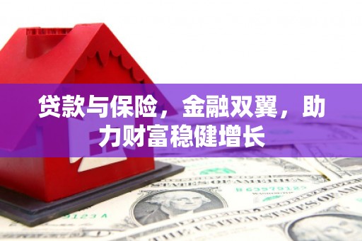 安化贷款与保险，金融双翼，助力财富稳健增长