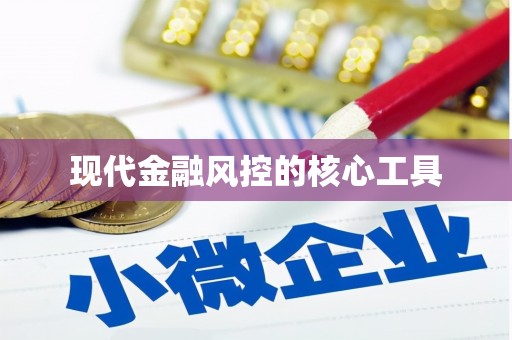 安化现代金融风控的核心工具