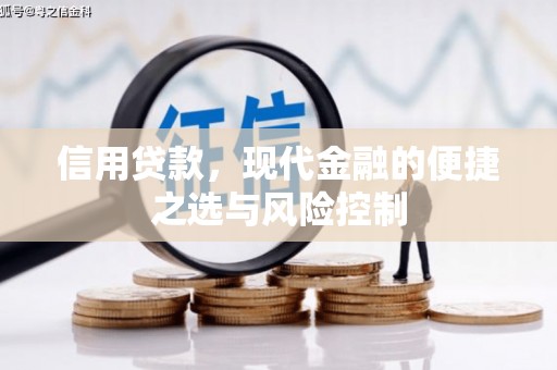 安化信用贷款，现代金融的便捷之选与风险控制