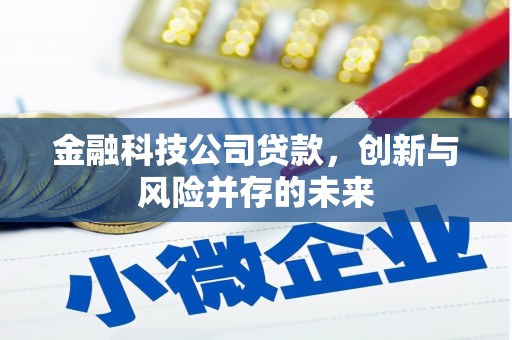 安化金融科技公司贷款，创新与风险并存的未来
