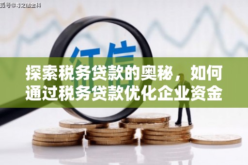 安化探索税务贷款的奥秘，如何通过税务贷款优化企业资金流