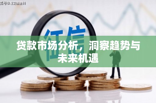 安化贷款市场分析，洞察趋势与未来机遇