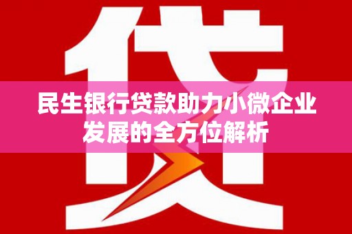 安化民生银行贷款助力小微企业发展的全方位解析