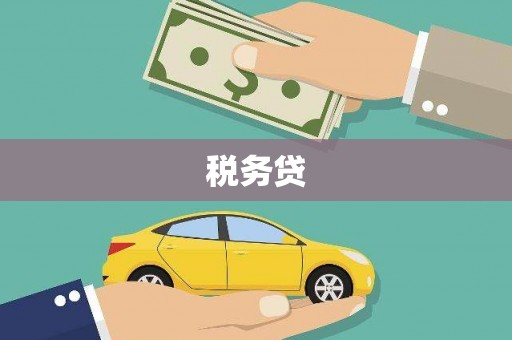 安化税务贷