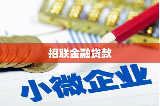 安化招联金融贷款