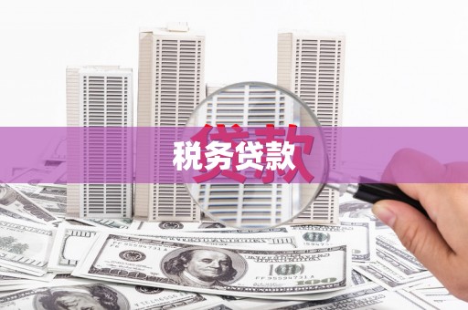 安化税务贷款