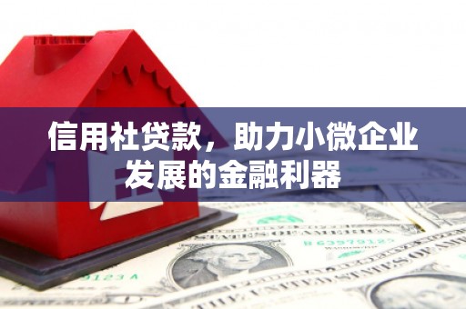 安化信用社贷款，助力小微企业发展的金融利器