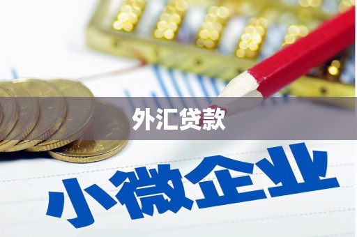 安化外汇贷款