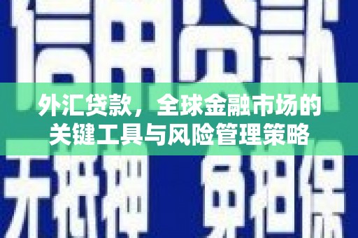 安化外汇贷款，全球金融市场的关键工具与风险管理策略