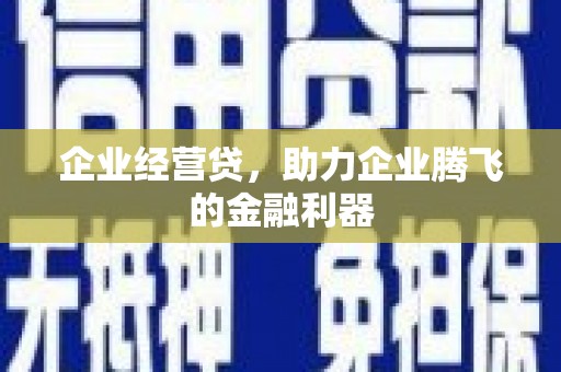 安化企业经营贷，助力企业腾飞的金融利器